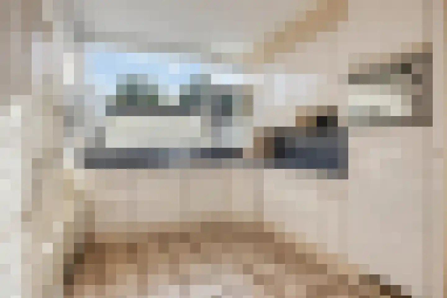Imkersdreef 76 Apeldoorn thumbnail 7