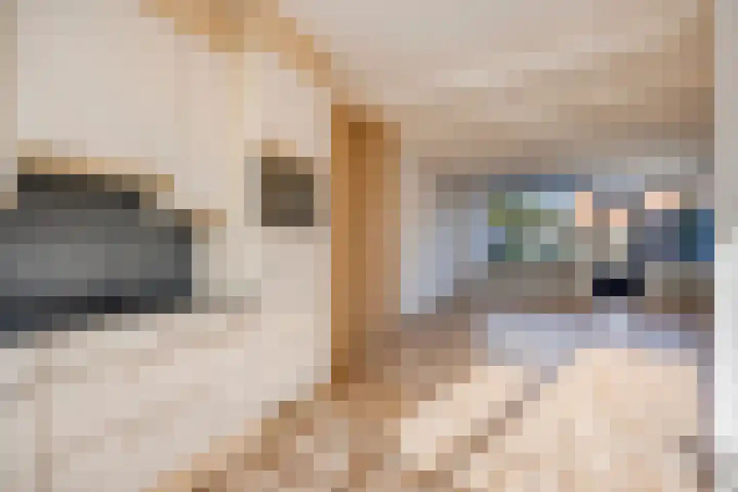 Imkersdreef 76 Apeldoorn thumbnail 9