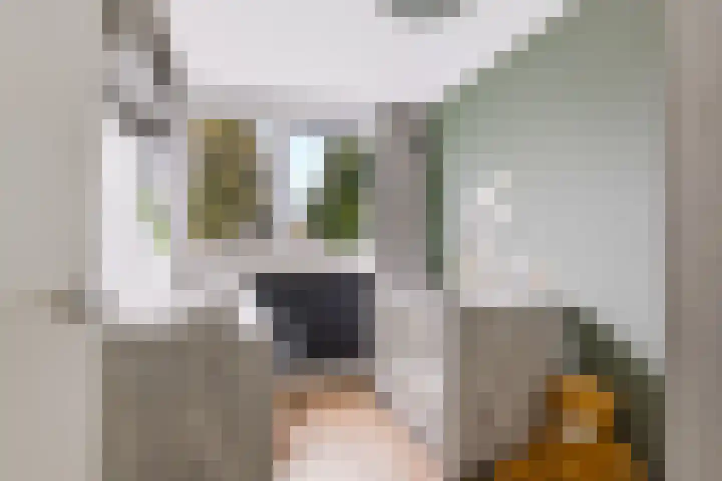 Imkersdreef 90 Apeldoorn thumbnail 14