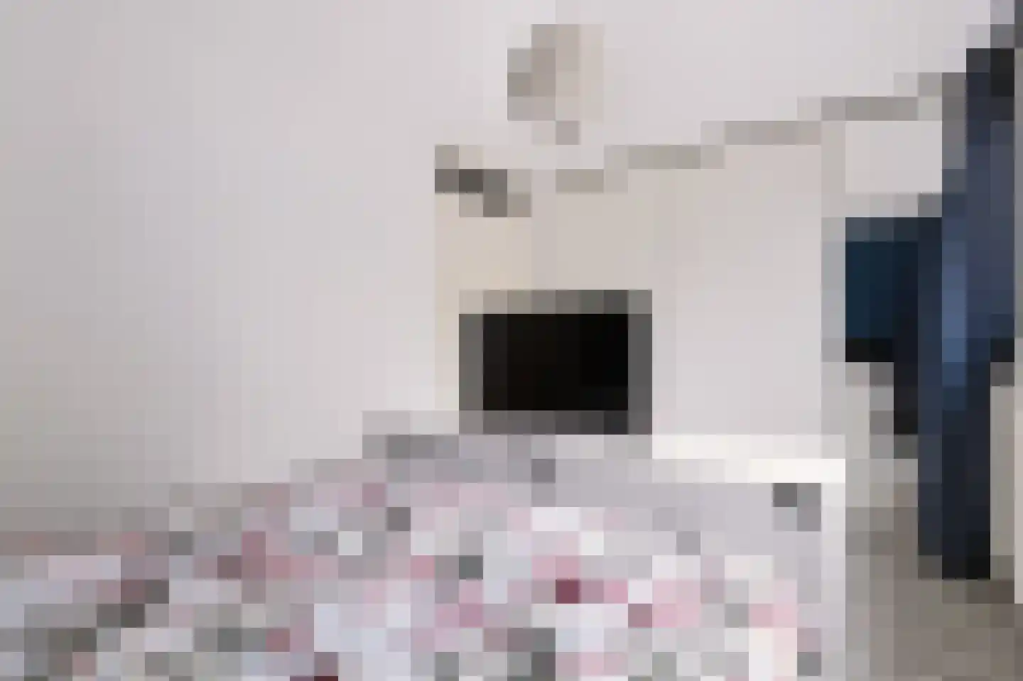 Imkersdreef 90 Apeldoorn thumbnail 15