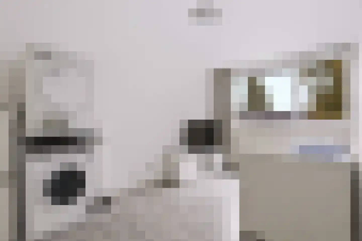 Imkersdreef 90 Apeldoorn thumbnail 17
