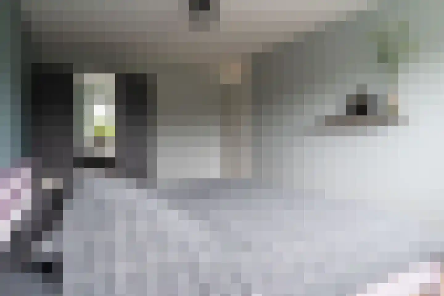 Imkerslaan 9 Voorthuizen thumbnail 20