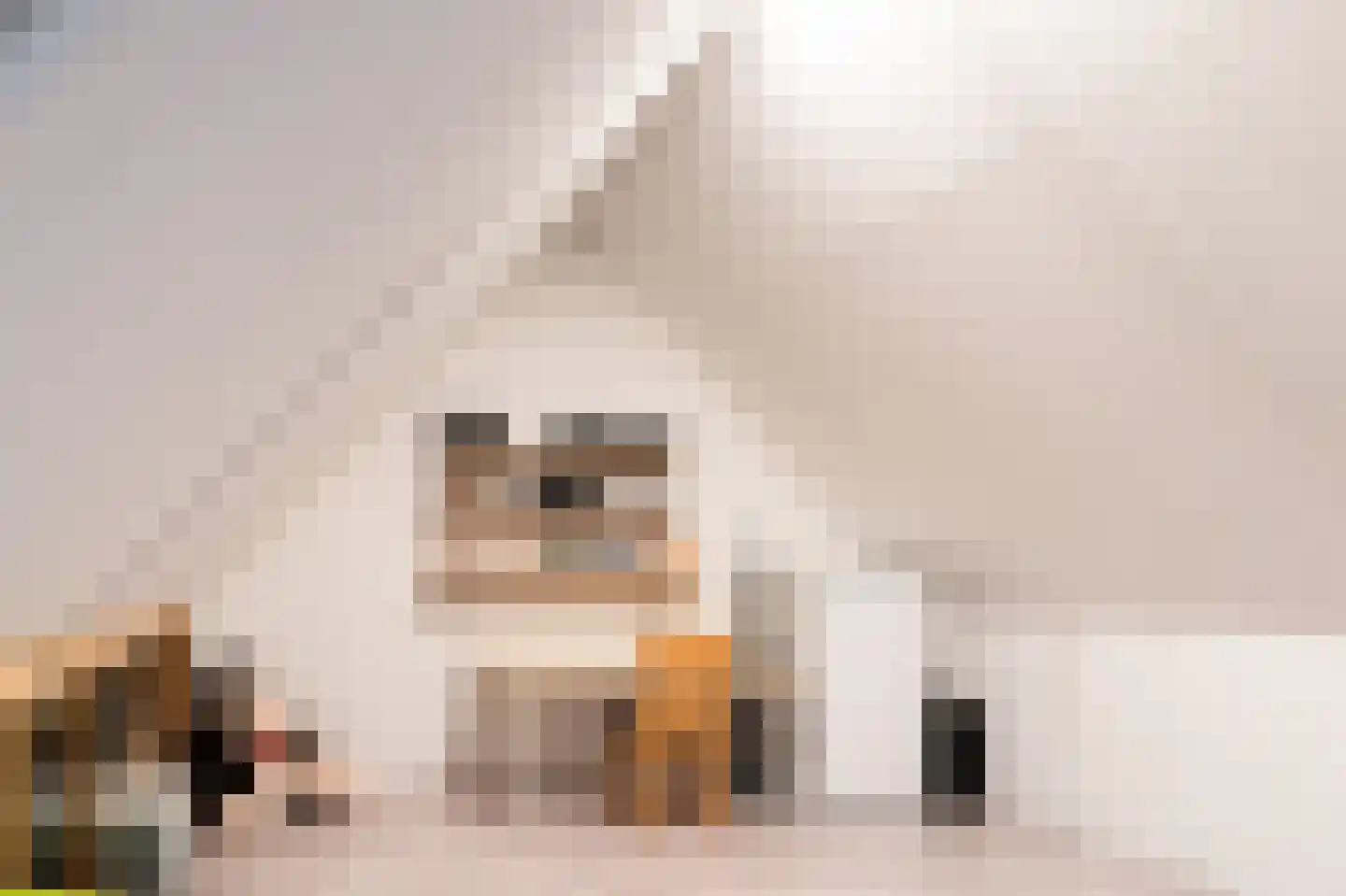Imkerslaan 9 Voorthuizen thumbnail 32