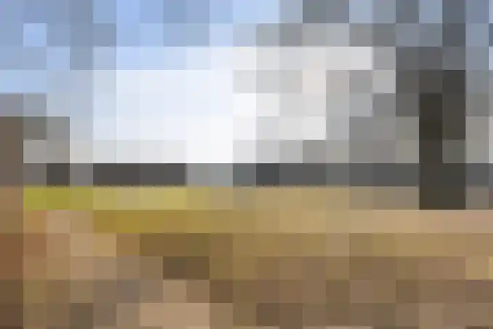 Imkersplaats 19 Apeldoorn thumbnail 23