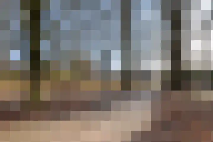 Imkersplaats 19 Apeldoorn thumbnail 24