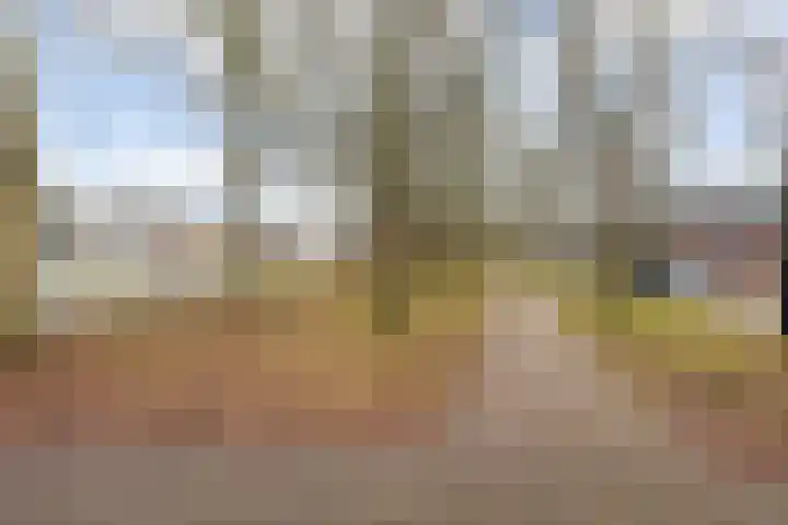 Imkersplaats 21 Apeldoorn thumbnail 30