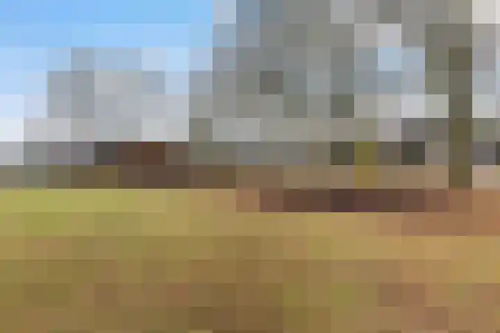 Imkersplaats 21 Apeldoorn thumbnail 31