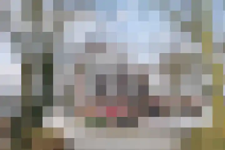 Imkersplaats 21 Apeldoorn thumbnail 5