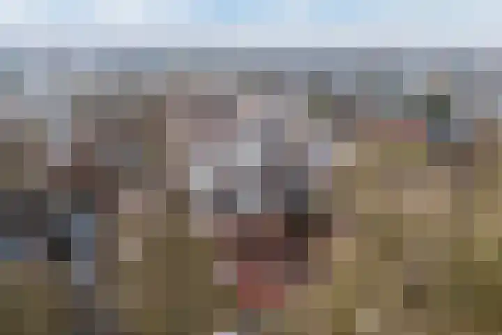 Imkersplaats 21 Apeldoorn thumbnail 8
