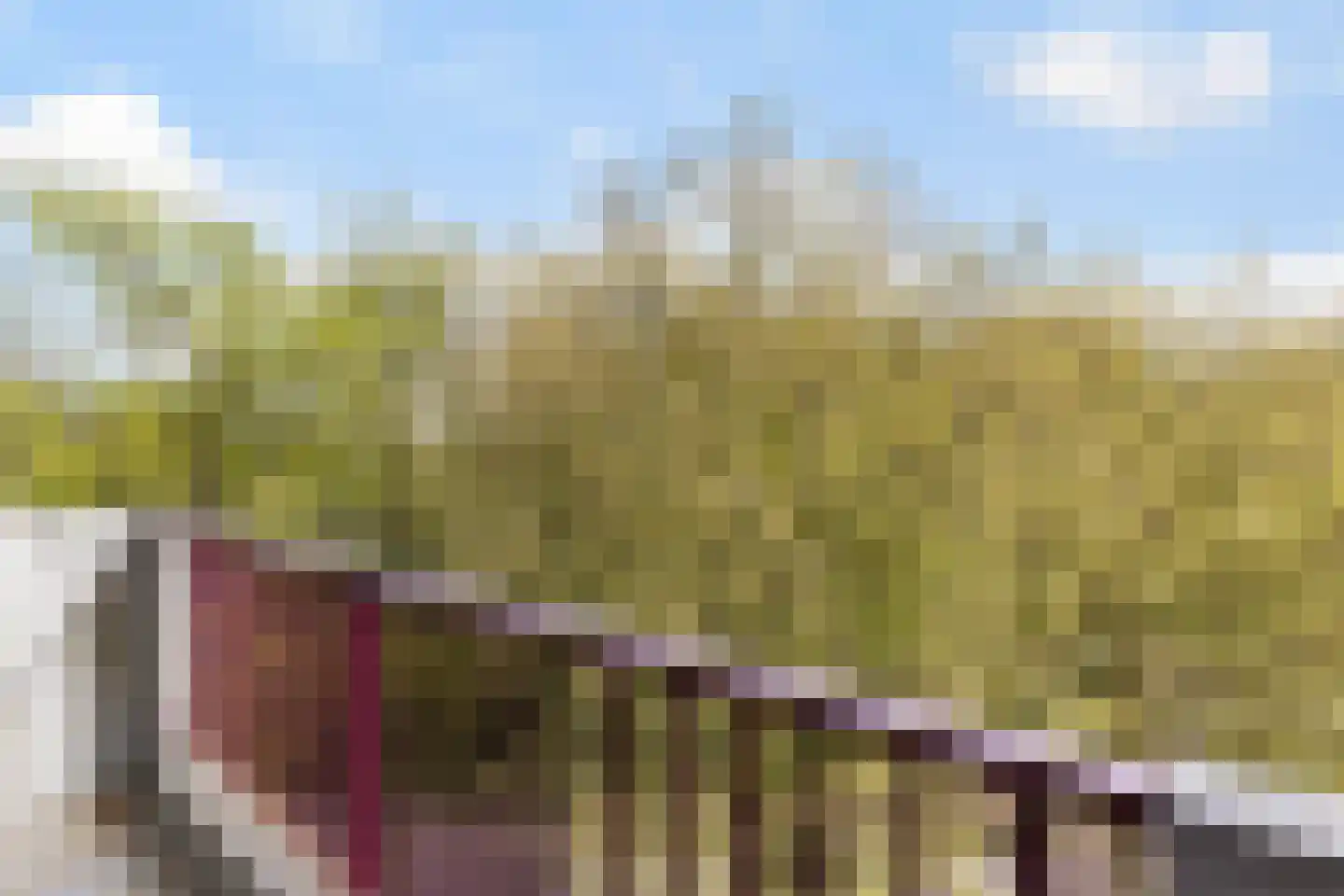 Imkersplaats 31 Apeldoorn thumbnail 13