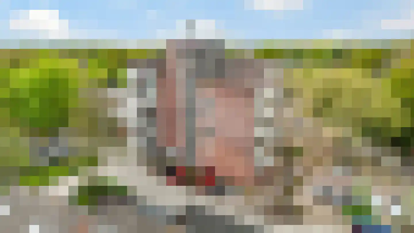 Imkersplaats 31 Apeldoorn thumbnail 29