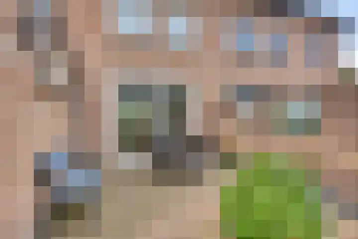 Imkerstraat 18 Echt thumbnail 15