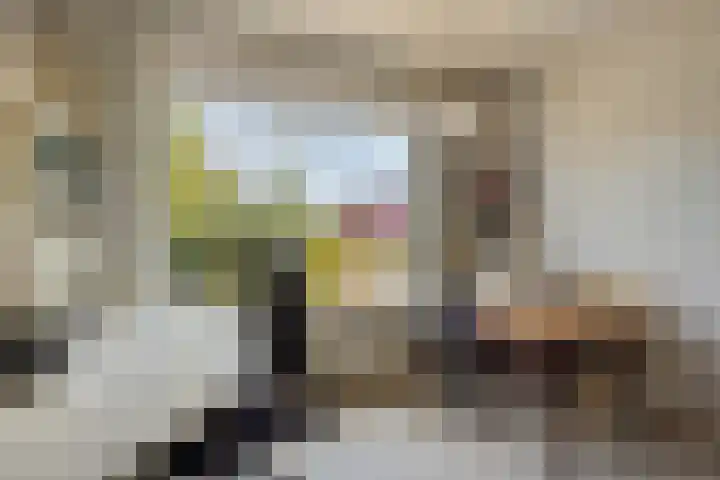 Imkerstraat 18 Echt thumbnail 16