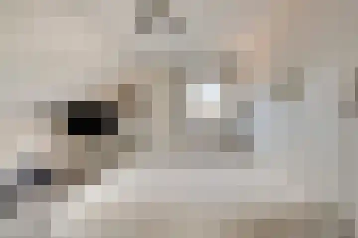 Imkerstraat 18 Echt thumbnail 22