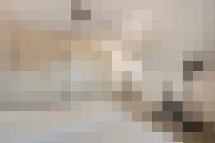 Imkerstraat 18 Echt thumbnail 23