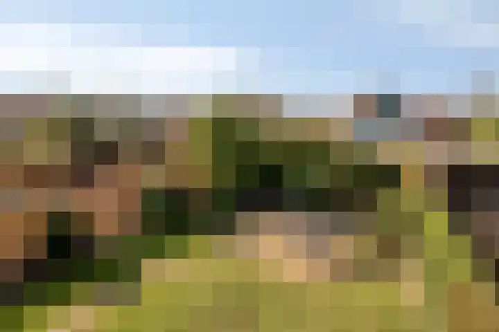 Imkerstraat 18 Echt thumbnail 34