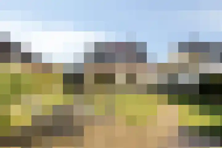 Imkerstraat 18 Echt thumbnail 36