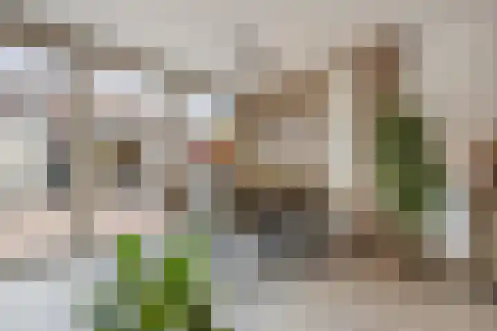 Imkerstraat 18 Echt thumbnail 46