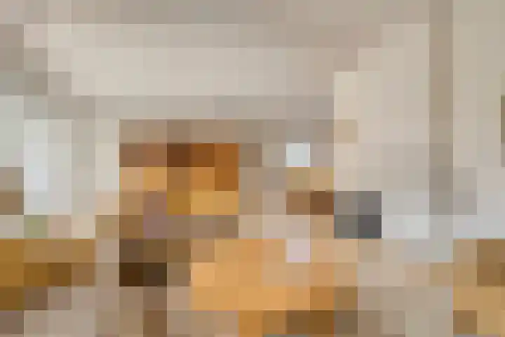 Imkerstraat 18 Echt thumbnail 9