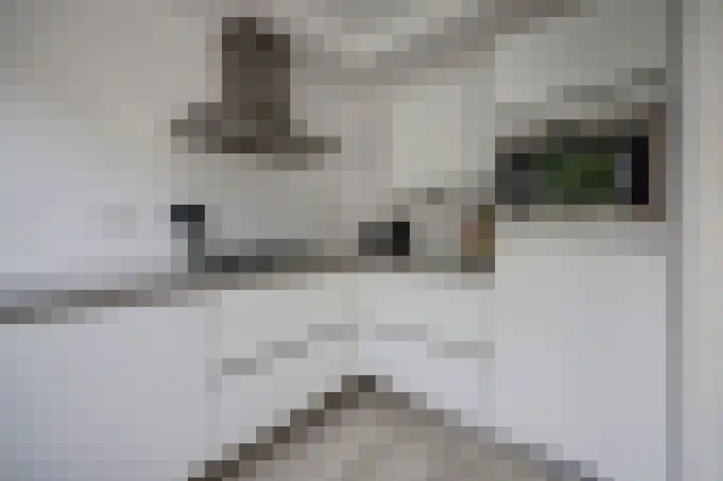 Imkerstraat 19 Bemmel thumbnail 16