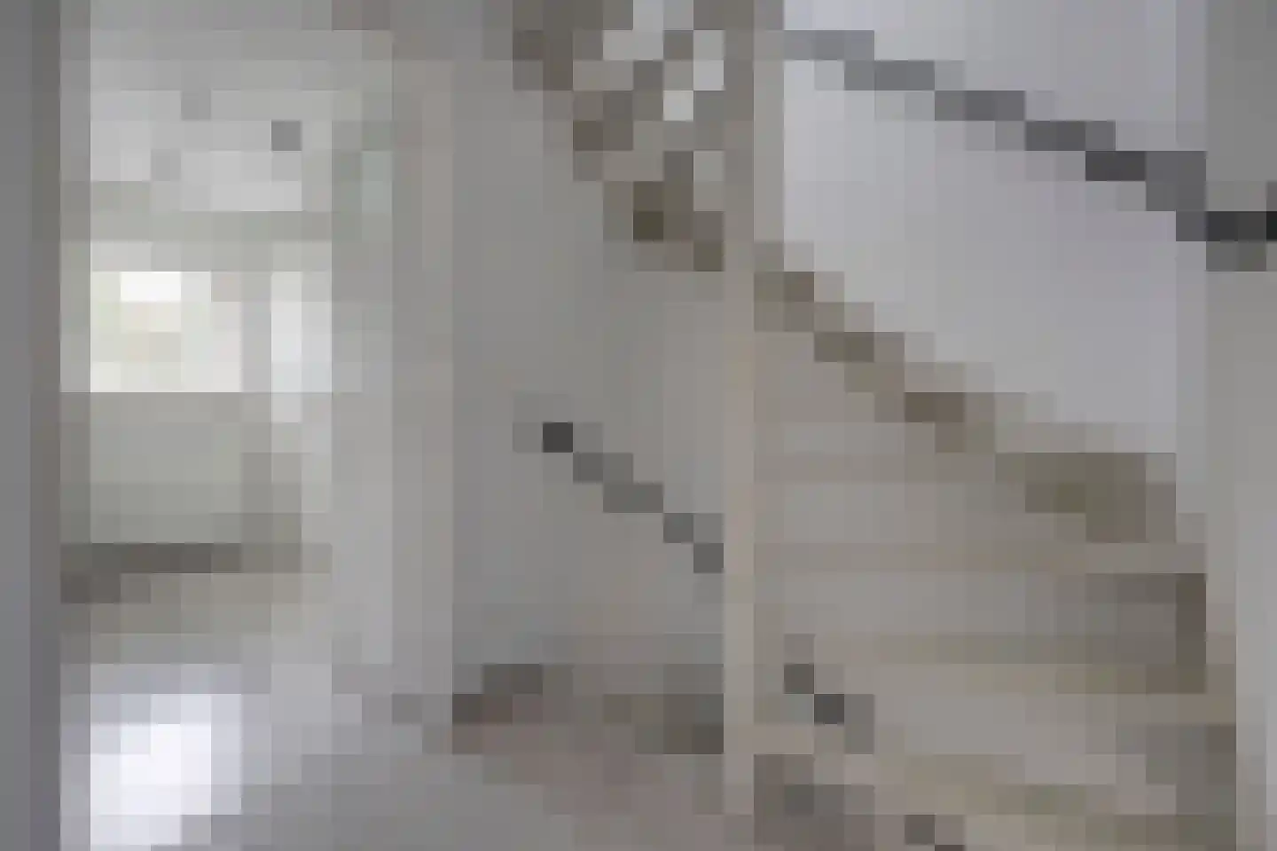 Imkerstraat 19 Bemmel thumbnail 24