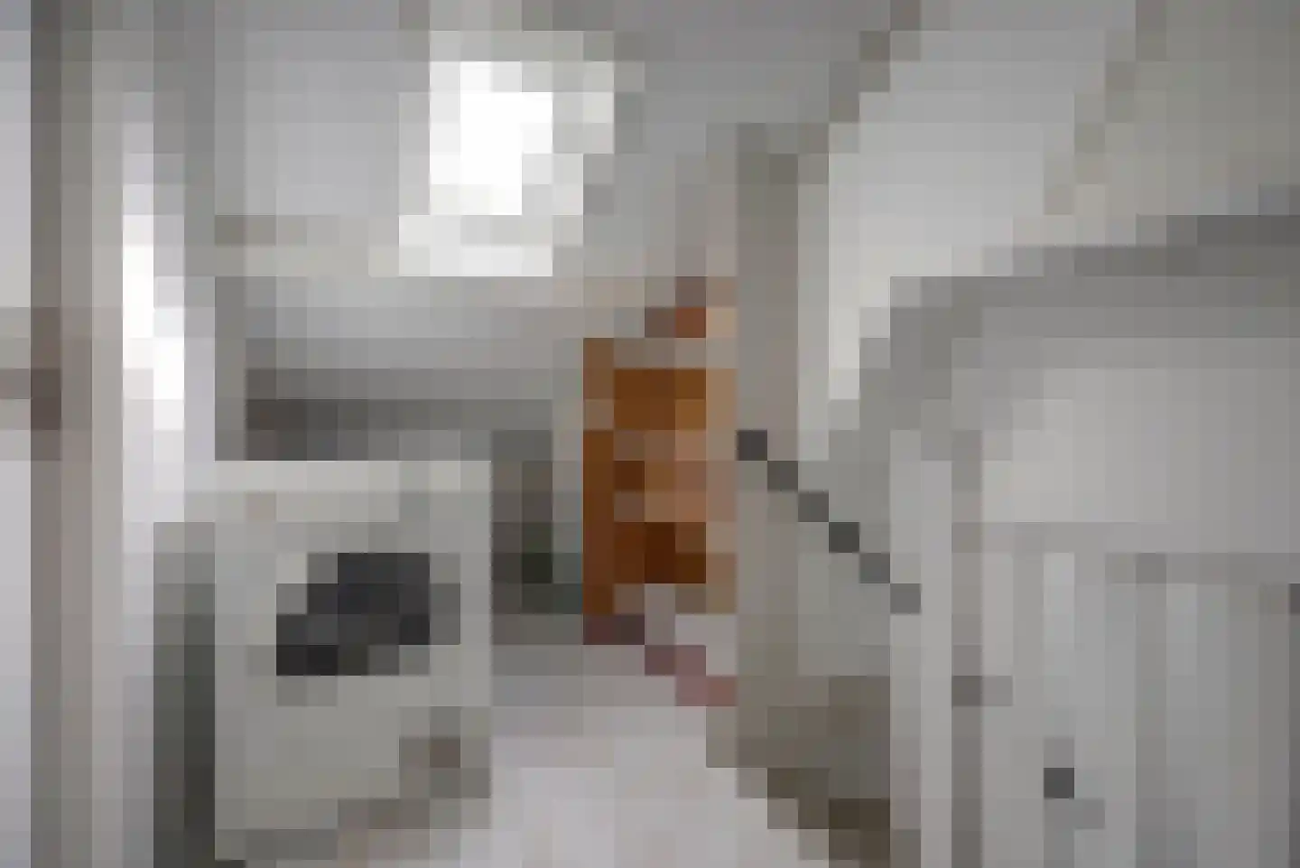 Imkerstraat 19 Bemmel thumbnail 36