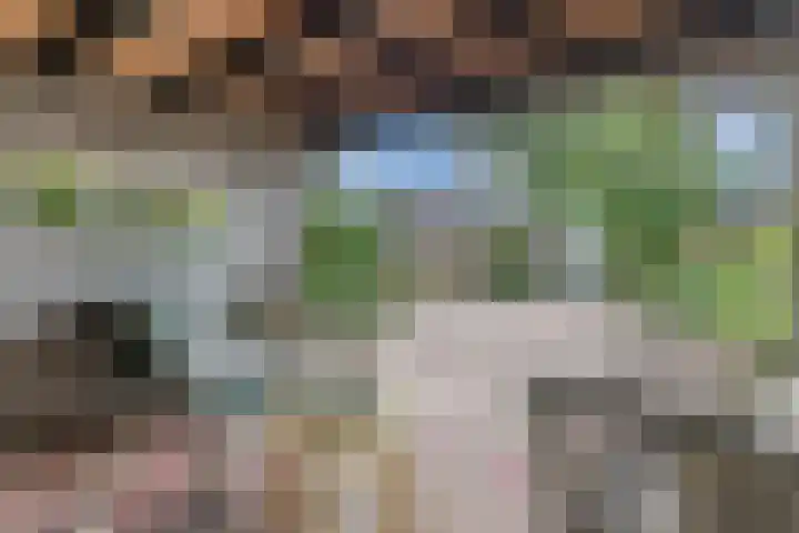 Imkerstraat 5 Alkmaar thumbnail 4