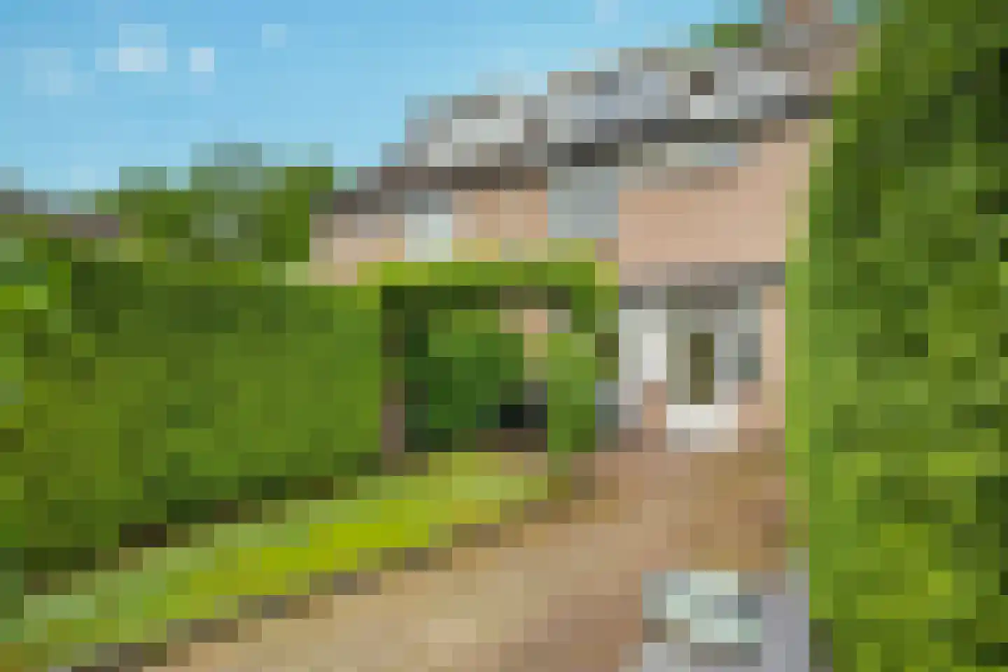 Imkerstraat 730 Eindhoven thumbnail 15