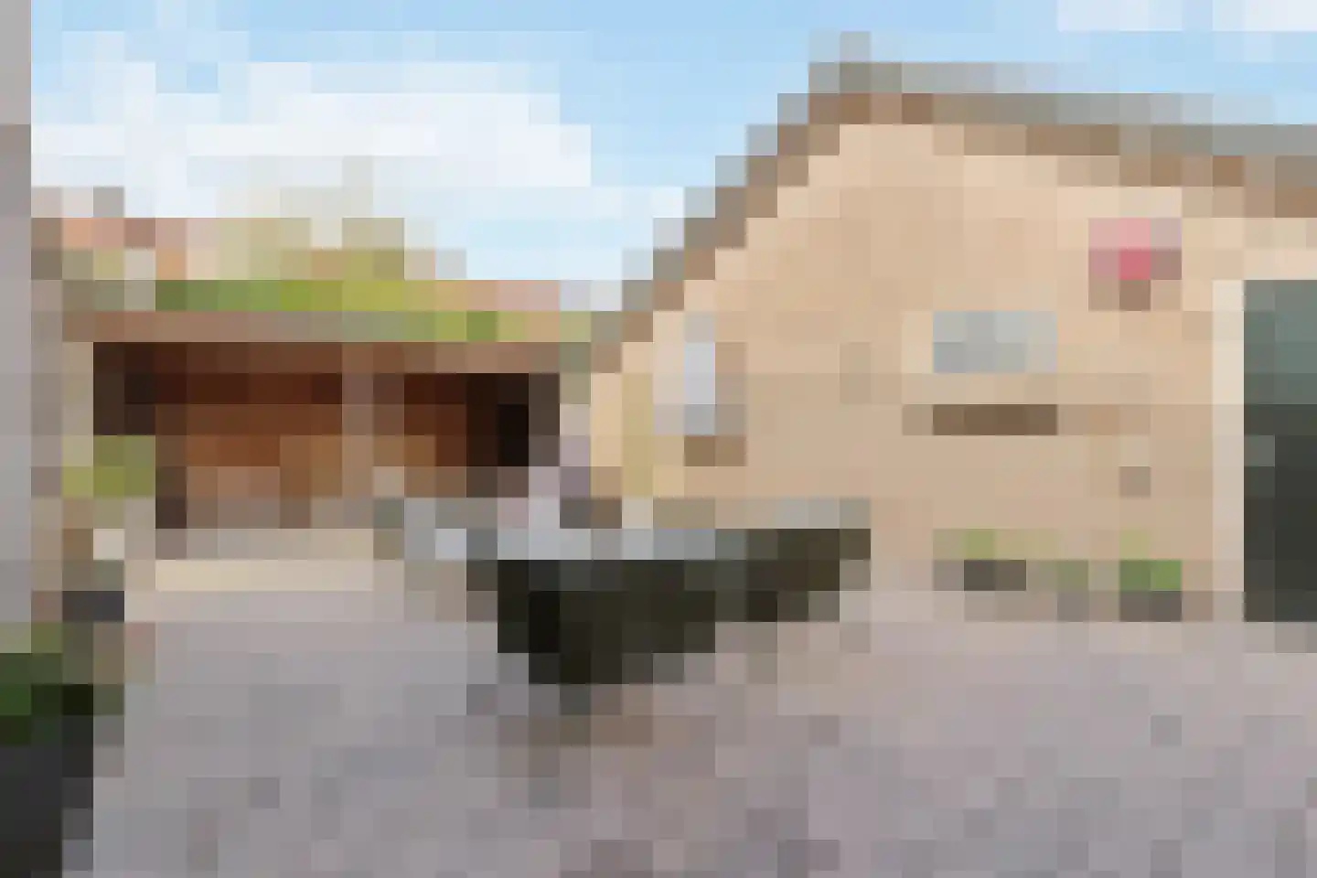 Imkerweg 33 Bussum thumbnail 30