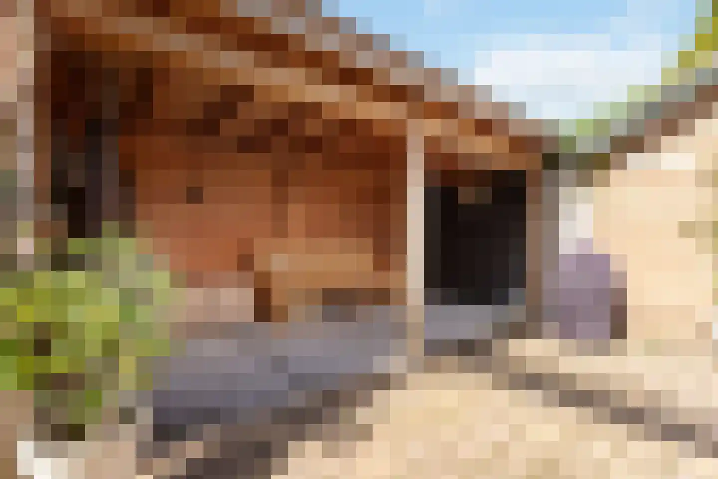 Imkerweg 33 Bussum thumbnail 35