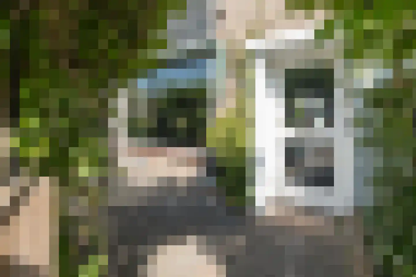 Imkerweg 41 Bussum thumbnail 41
