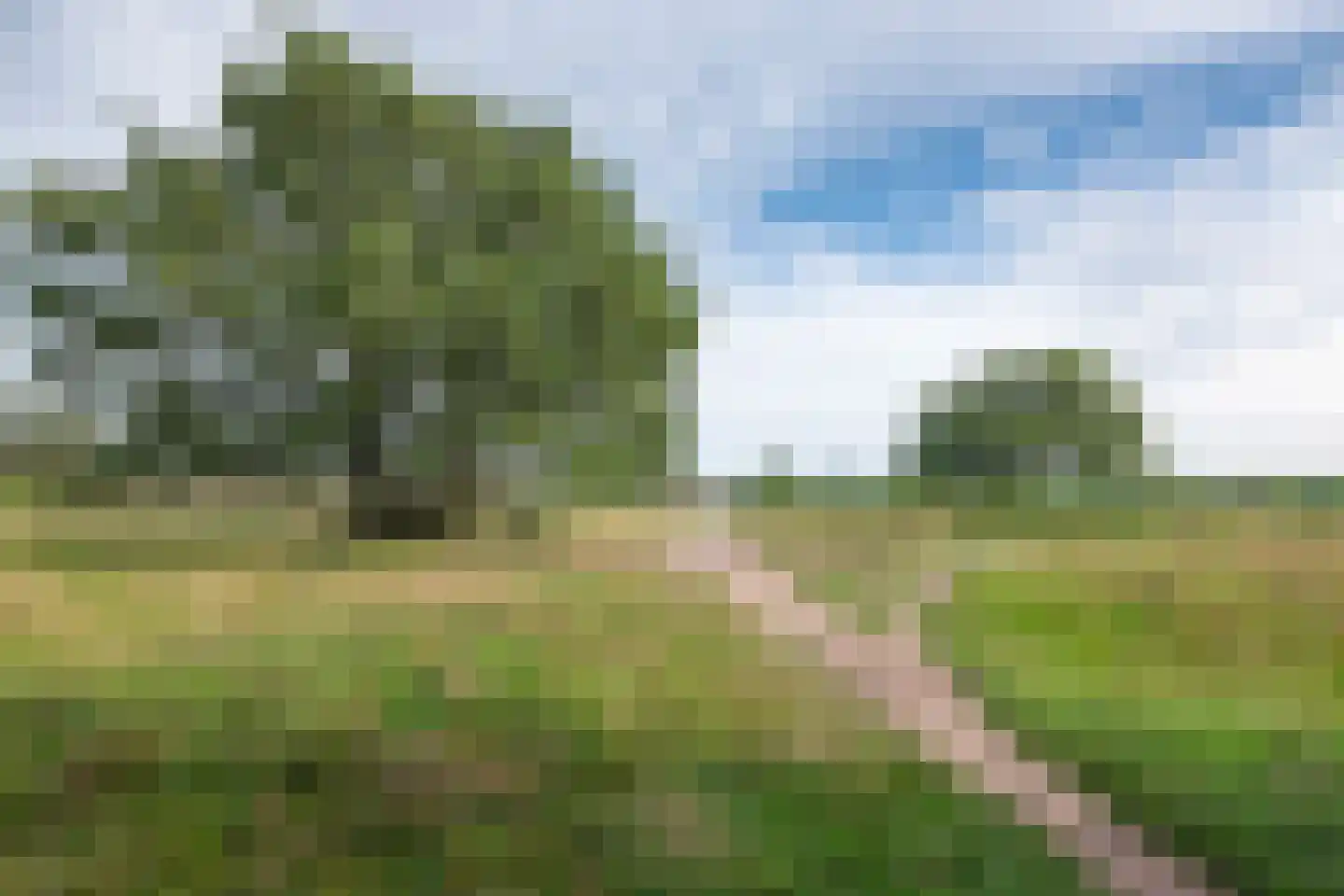 Imkerweg 41 Bussum thumbnail 49