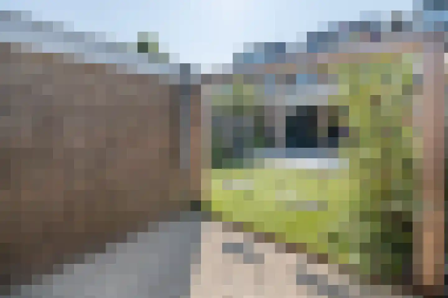 Imkerweg 41 Bussum thumbnail 8