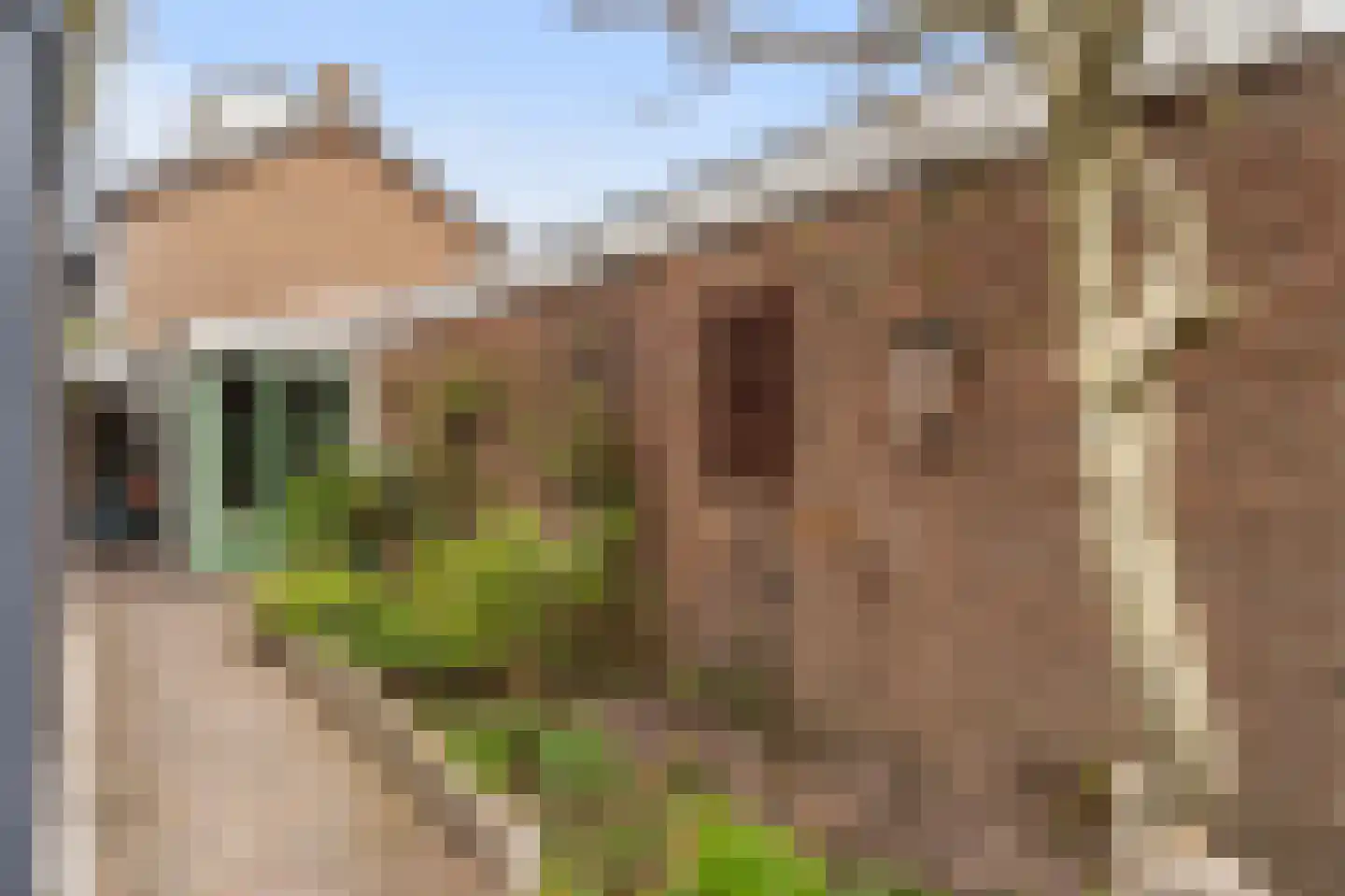 Imkerweg 51 Bussum thumbnail 32