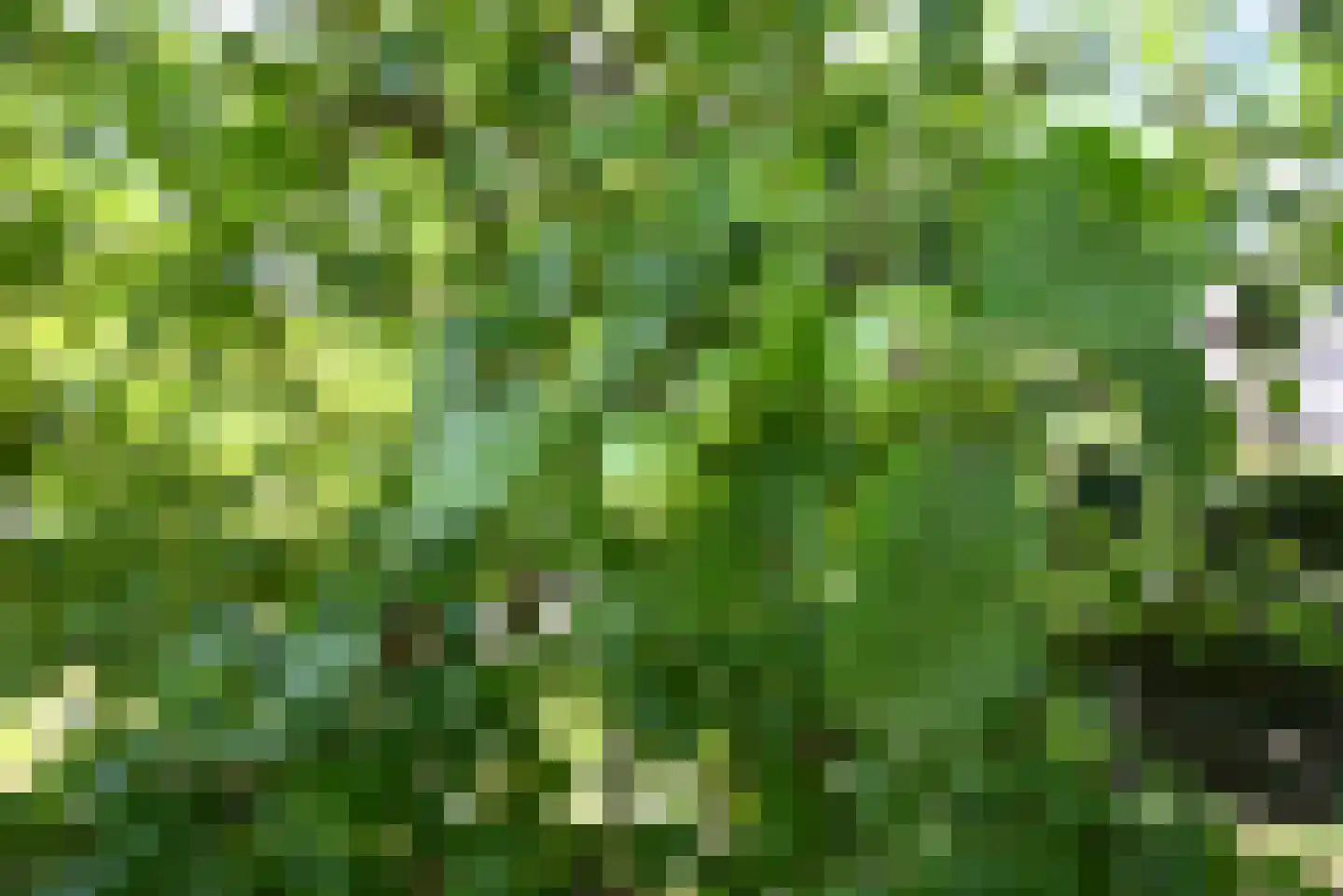 Imkerweg 69 Bussum thumbnail 33