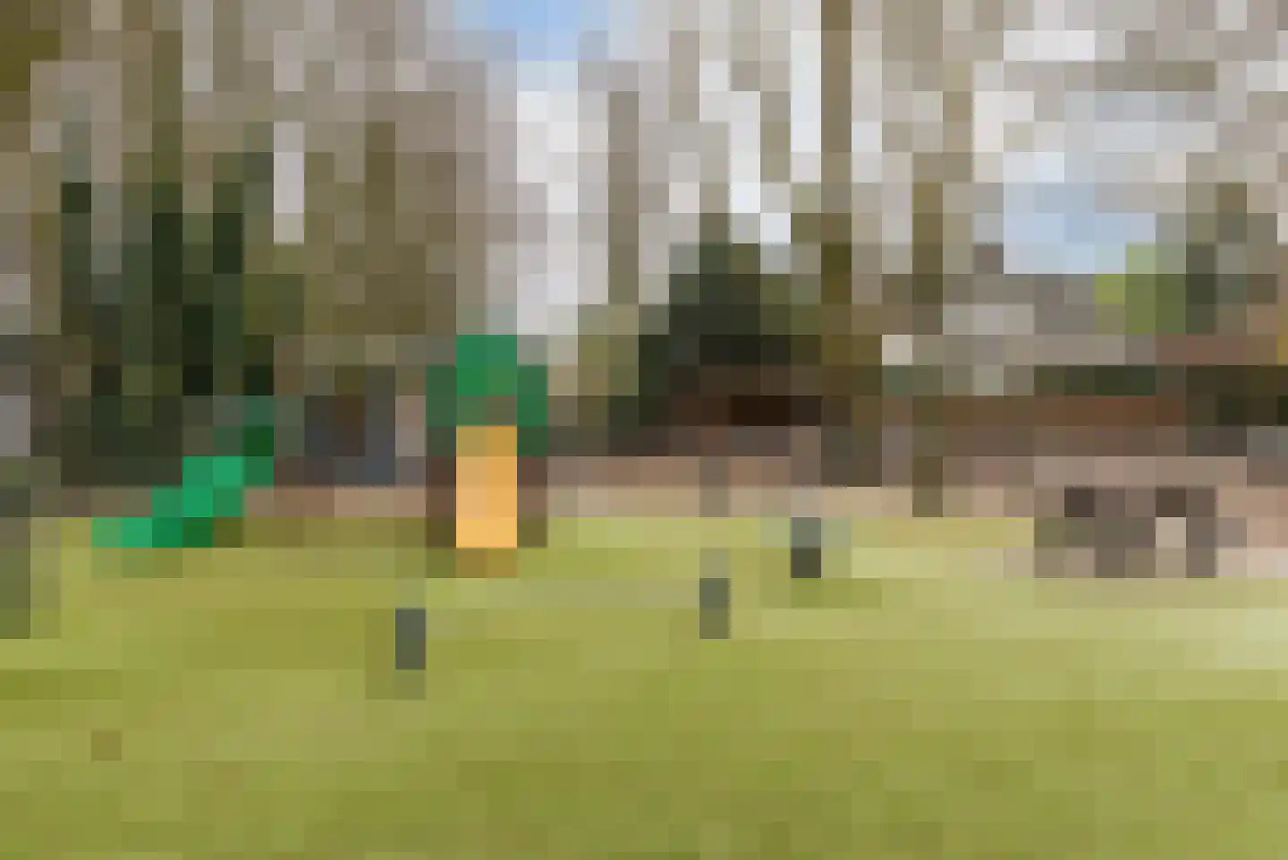 Imkerwei 3 Valkenswaard thumbnail 40