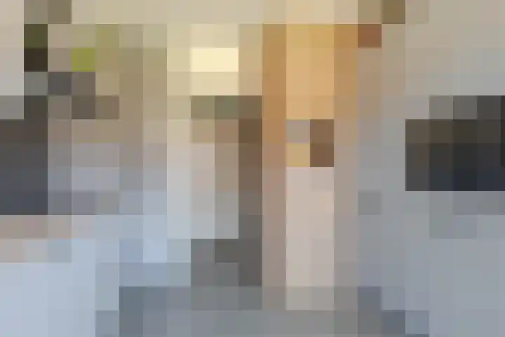 Immanuel Kantstraat 25 Rotterdam thumbnail 15