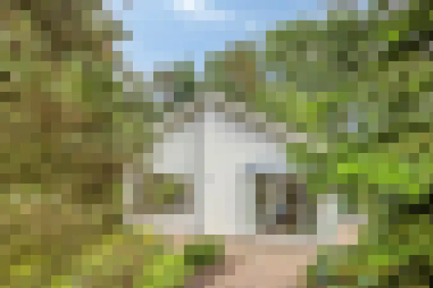 Immenbergweg 34 28 Beekbergen thumbnail 30