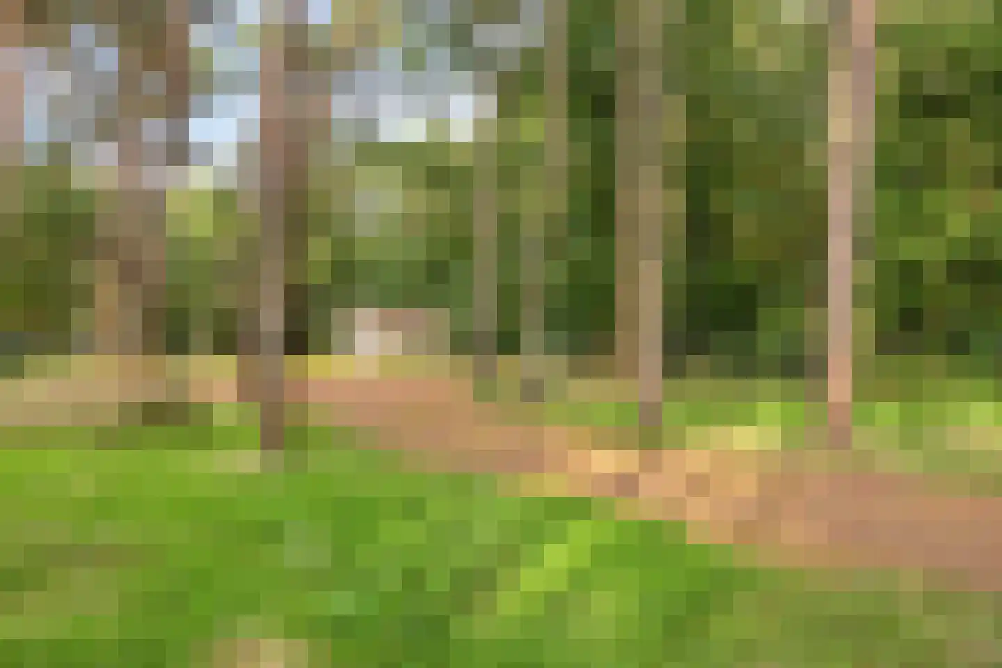 Immenbergweg 34 28 Beekbergen thumbnail 32