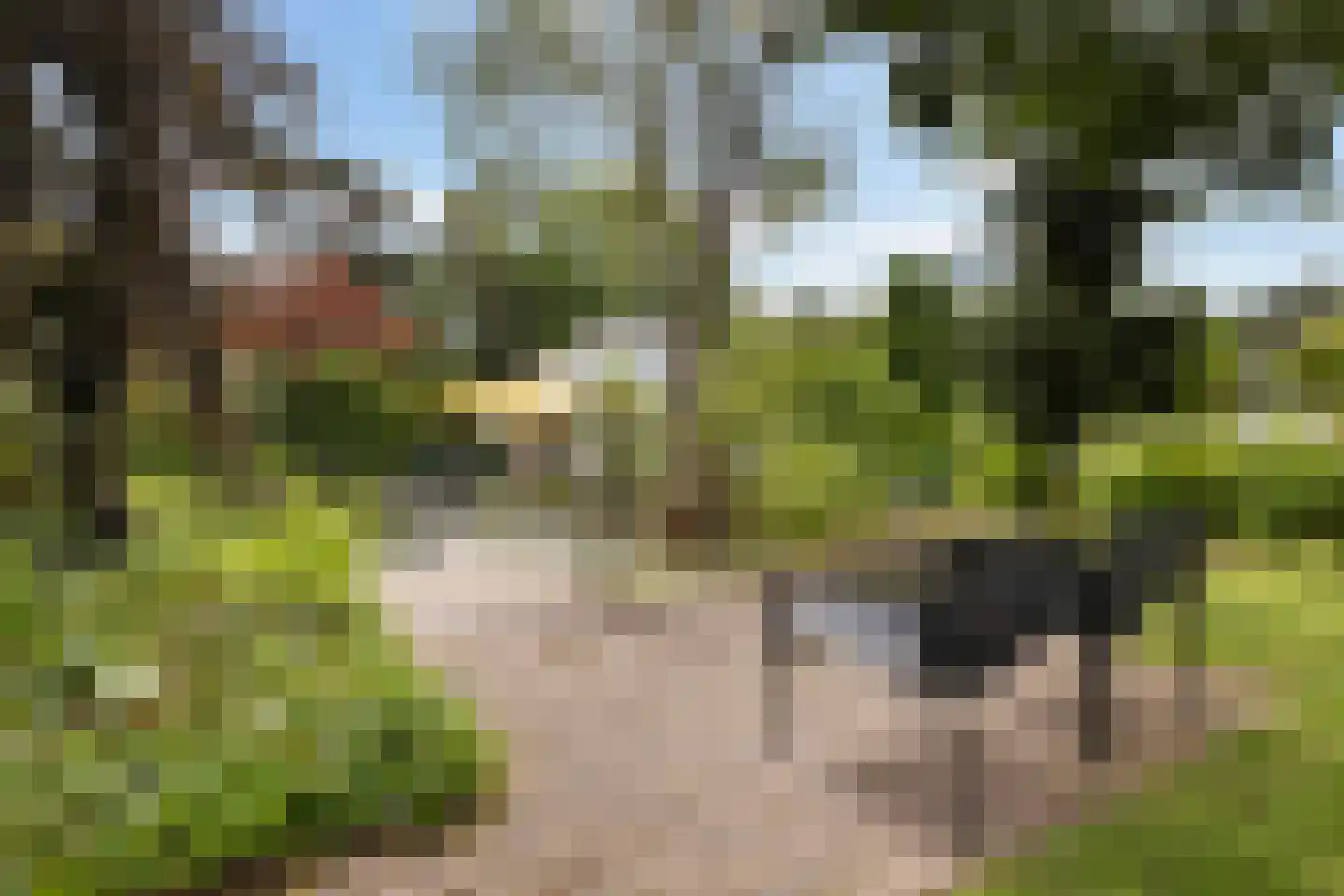 Immenbergweg 34 52 Beekbergen thumbnail 13
