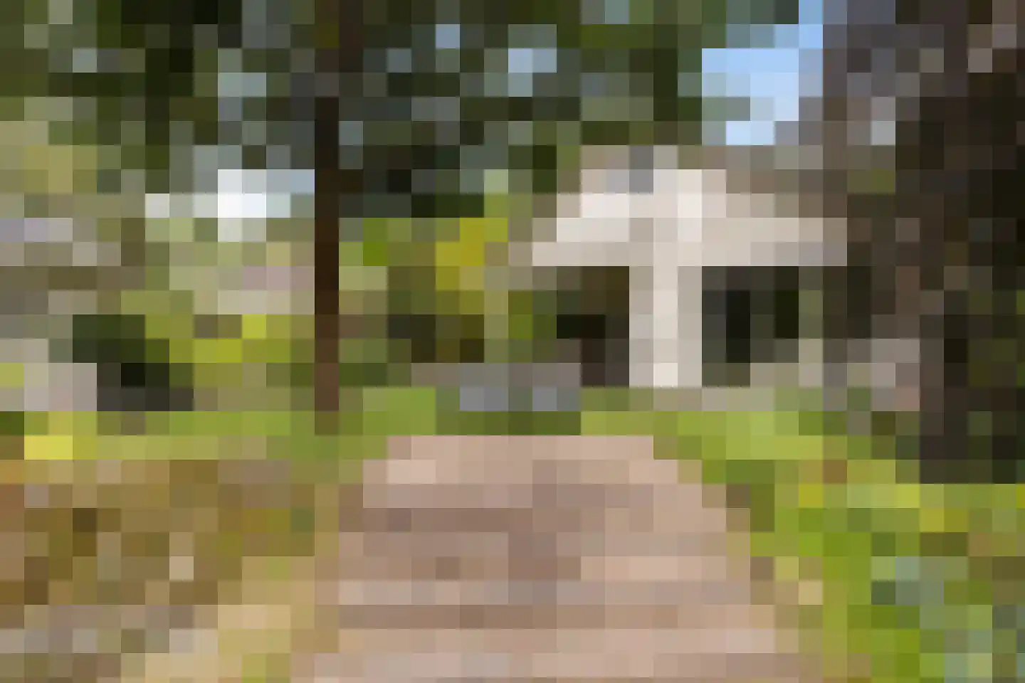 Immenbergweg 34 52 Beekbergen thumbnail 33