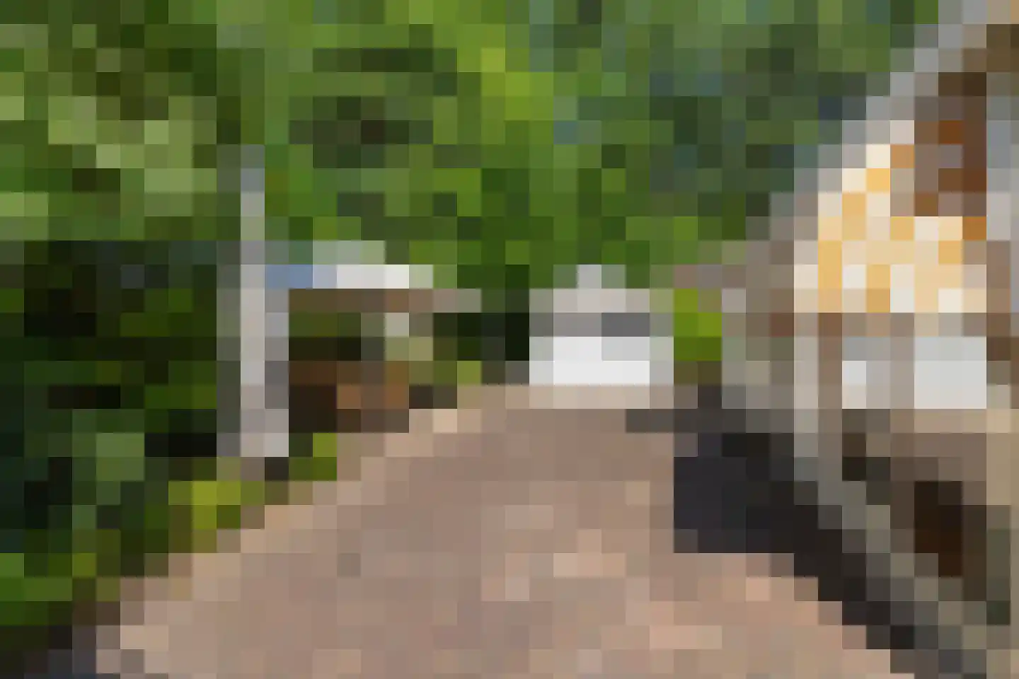 Immenbergweg 34 7 Beekbergen thumbnail 26