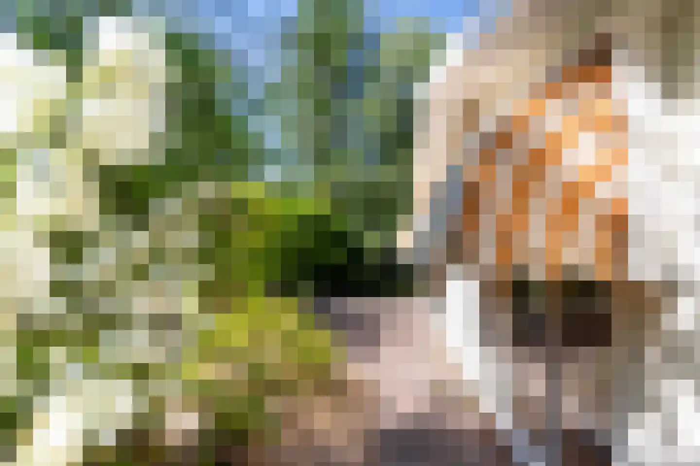 Immenbergweg 34 7 Beekbergen thumbnail 27