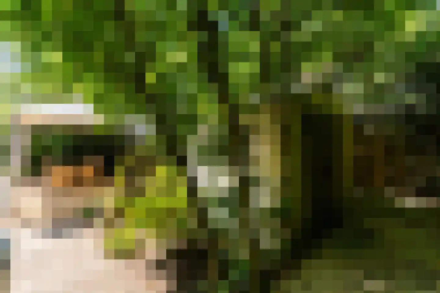 Immenbergweg 34 7 Beekbergen thumbnail 30