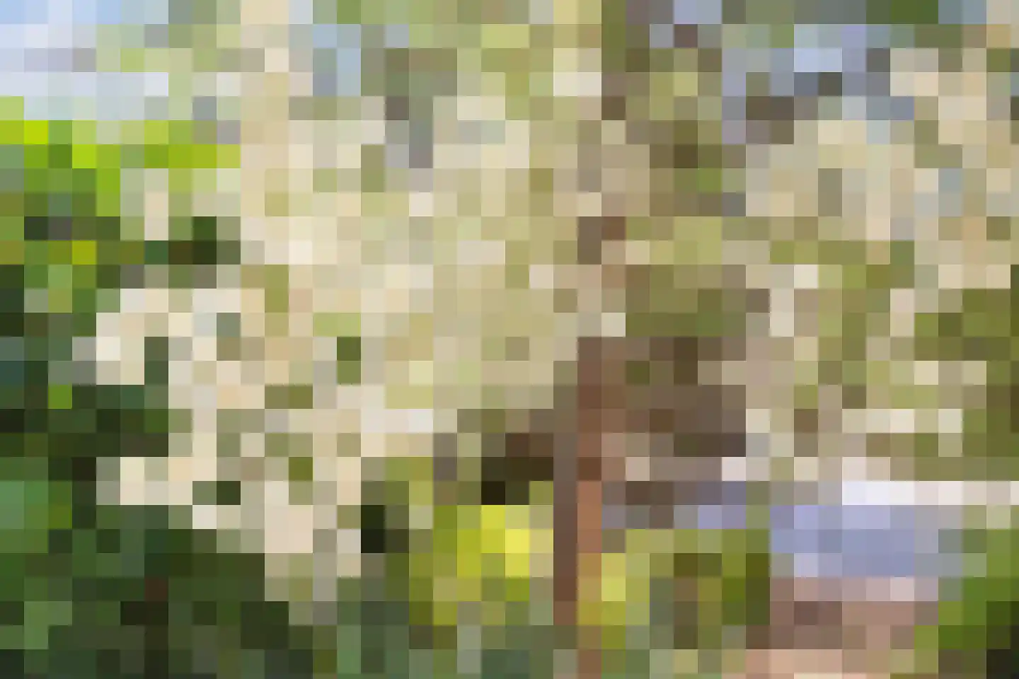 Immenbergweg 34 7 Beekbergen thumbnail 31