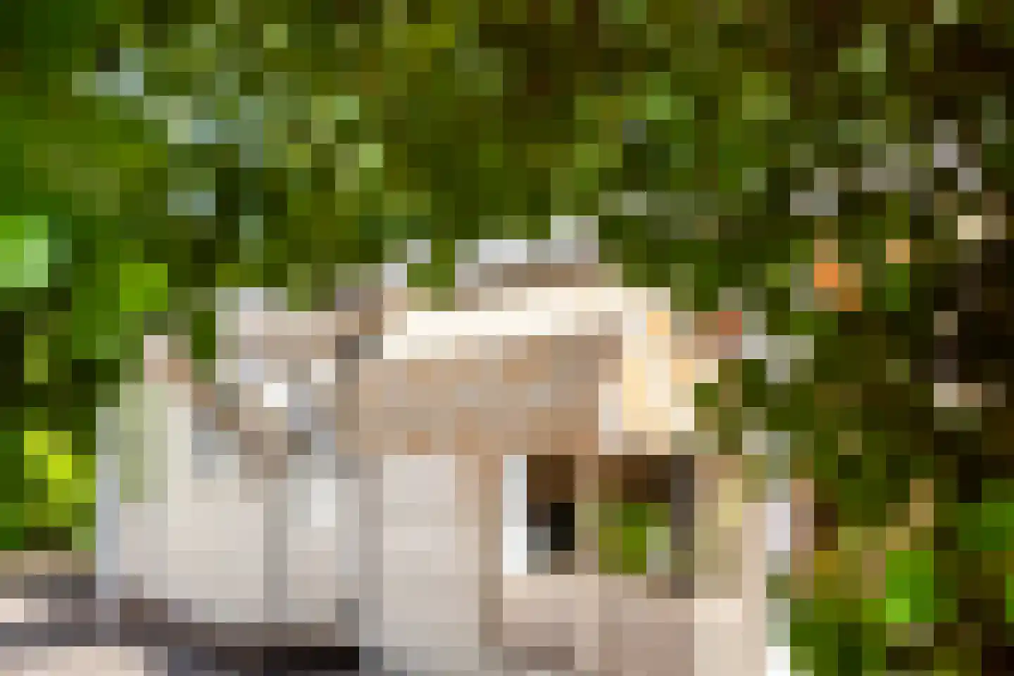 Immenbergweg 34 7 Beekbergen thumbnail 34