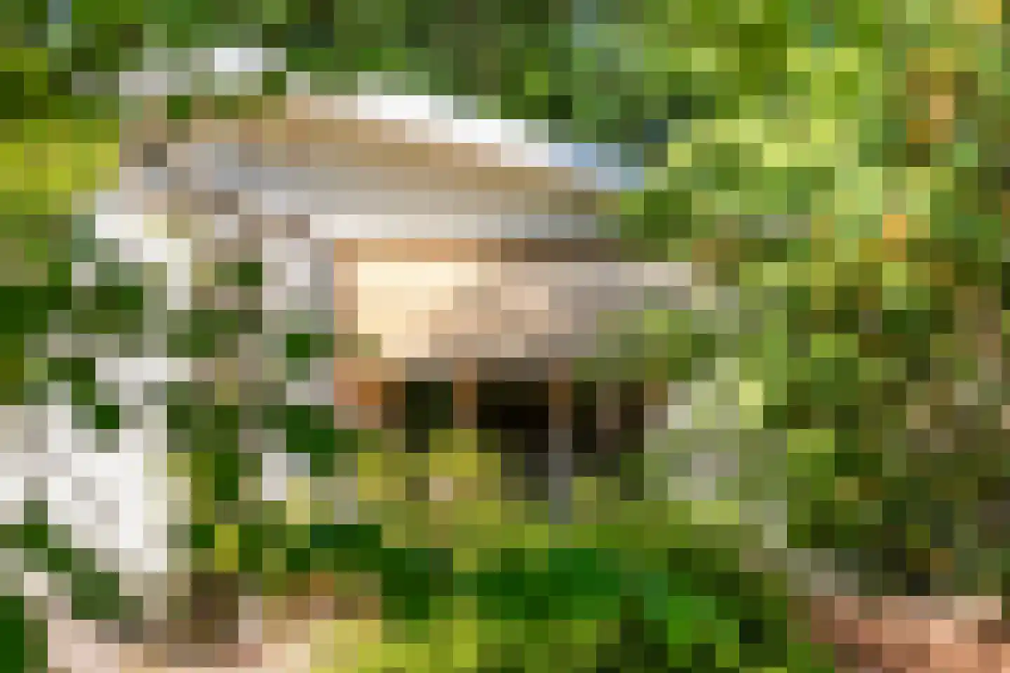 Immenbergweg 34 7 Beekbergen thumbnail 35