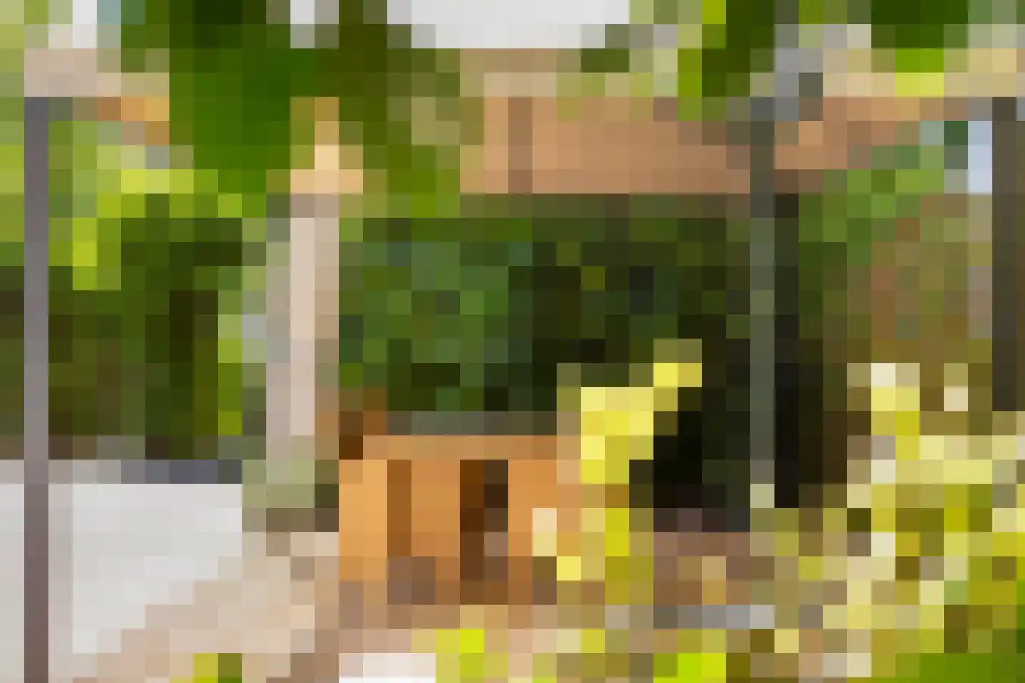 Immenbergweg 34 7 Beekbergen thumbnail 36
