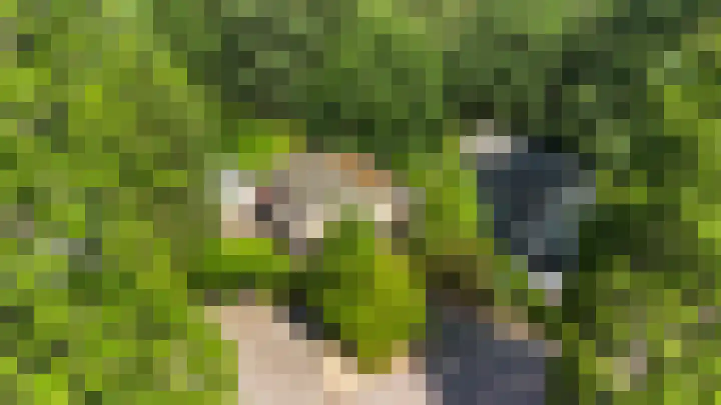 Immenbergweg 34 7 Beekbergen thumbnail 43