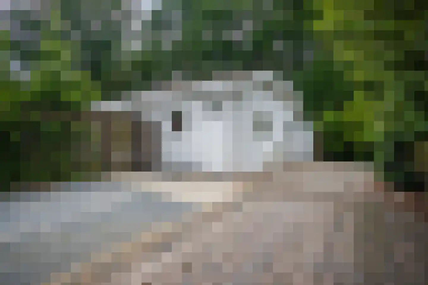 Immenbergweg 34 8 Beekbergen thumbnail 26